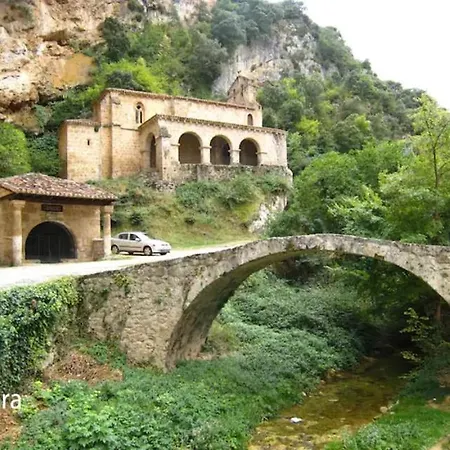 Camino - *