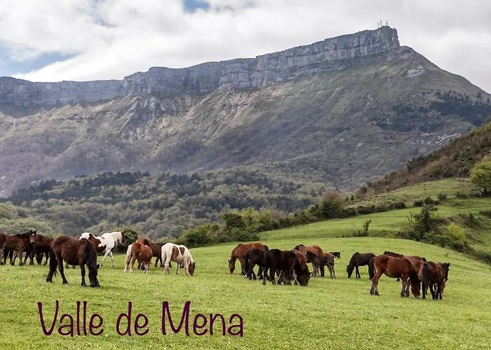 度假居 Camino - *